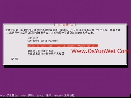 Ubuntu Server 13.10 安装配置图解教程