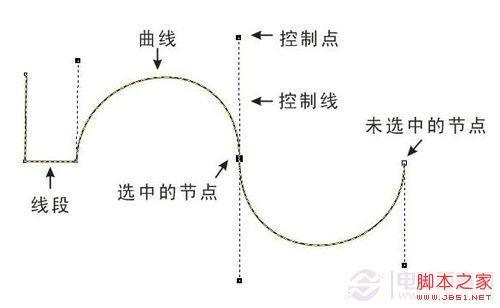 如何用好PS中的钢笔工具（ps钢笔工具小技巧）