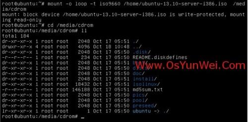 Ubuntu Server 13.10 安装配置图解教程