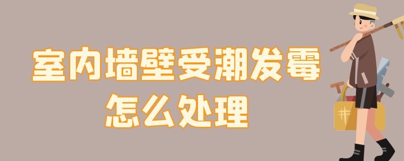 室内墙壁受潮发霉怎么处理