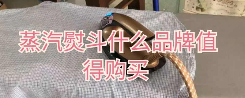 蒸汽熨斗什么品牌值得购买