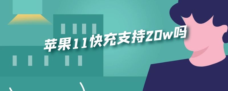 苹果11快充支持20w吗