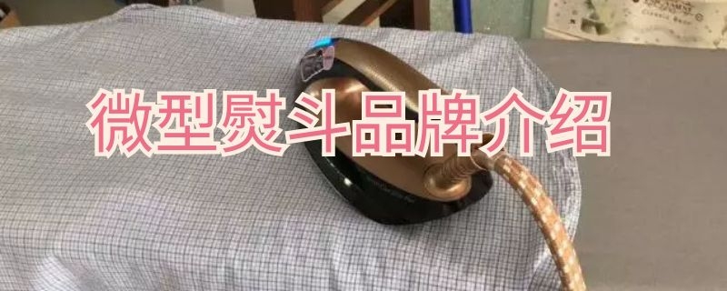 微型熨斗品牌介绍