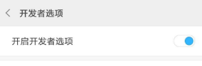 开发人员选项怎么打开