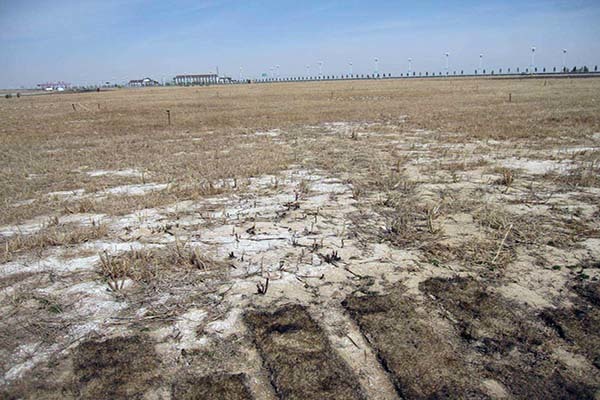 土地证和房产证的区别是什么 土地证过户办理流程及时间 房屋土地证过户需要多少钱