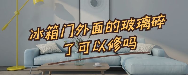 冰箱门外面的玻璃碎了可以修吗