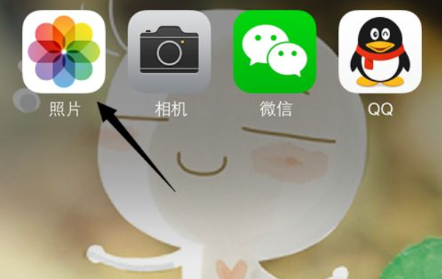 苹果相册怎么分类管理 苹果相册怎么分类管理