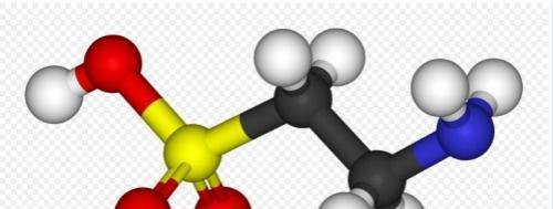 牛磺酸是什么