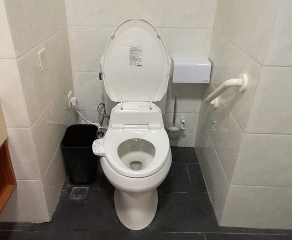 抽水马桶堵塞的常见原因 不要再这样干了 抽水马桶堵塞的常见原因 不要再这样干了