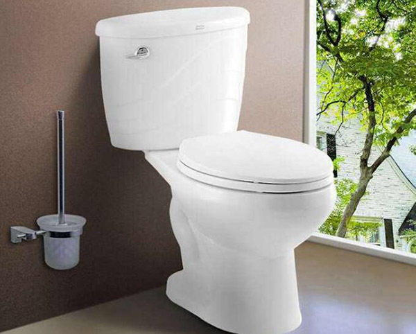 抽水马桶堵塞的常见原因 不要再这样干了 抽水马桶堵塞的常见原因 不要再这样干了