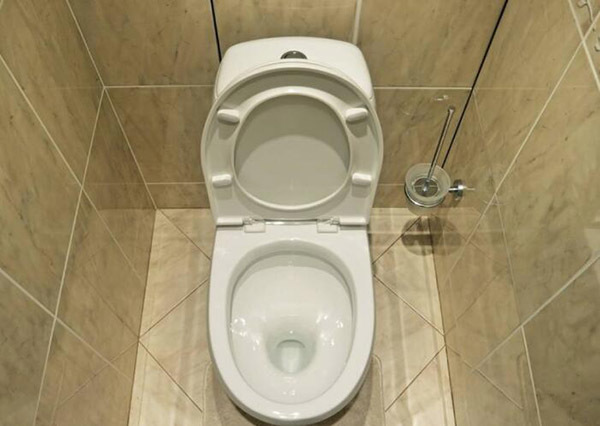 抽水马桶堵塞的常见原因 不要再这样干了 抽水马桶堵塞的常见原因 不要再这样干了