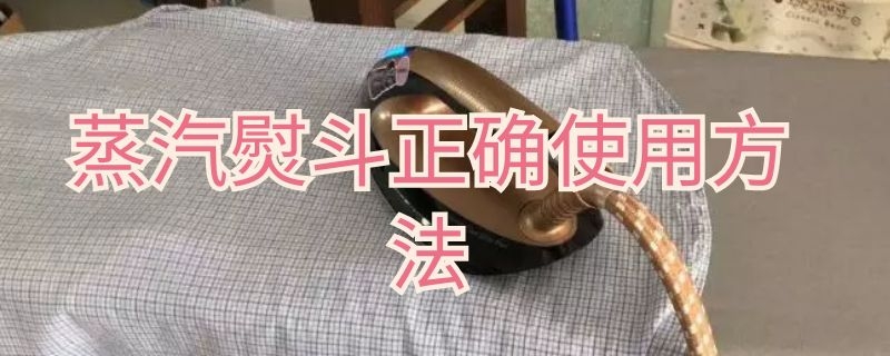 蒸汽熨斗正确使用方法