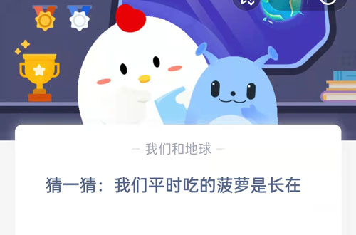 猜一猜我们平时吃的菠萝是长在 我们平时吃的是胡萝卜的什么