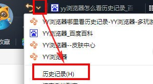 yy浏览器怎么删除历史记录（yy浏览器怎么删除历史记录视频）