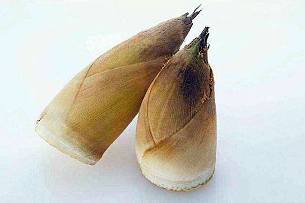 竹笋的做法有哪些 竹笋的做法有哪些好吃