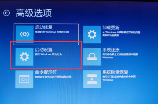 win10登录选项不见了怎么办 win10开机登录选项不见了