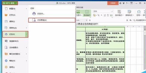 WPS word文档双面打印设置