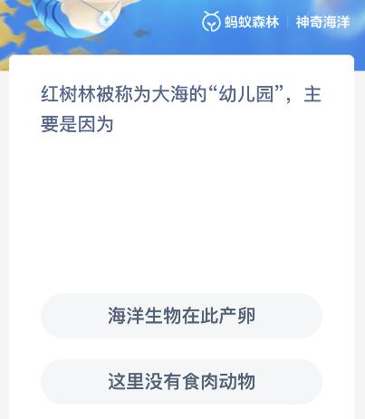 红树林被称为大海的“幼儿园”是因为什么？神奇海洋11月18日答案