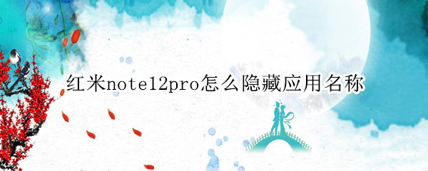 红米note12pro怎么隐藏应用名称（红米NOTE十PRO有什么隐藏功能）