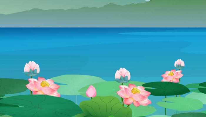 适合去植物园发的文案