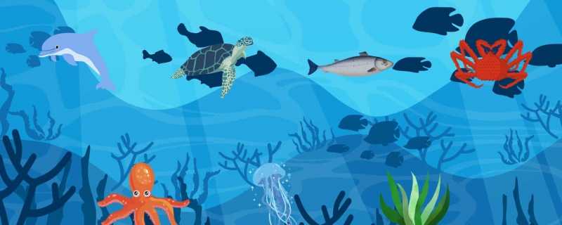 活性炭在海水缸里能用多久