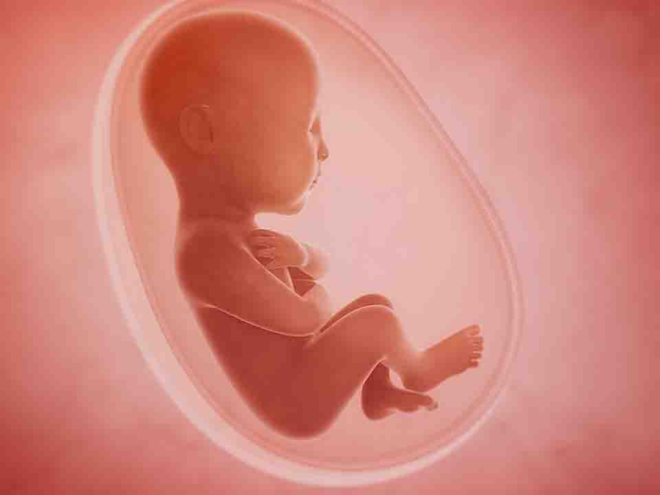 孕囊看男女判断方法 孕囊看男孩女孩怎么看