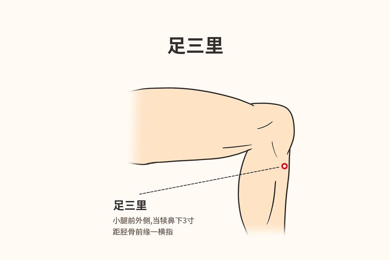 呕吐贴哪个部位图片