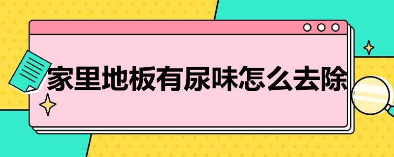 家里地板有尿味怎么去除 家里地板有尿味怎么去除掉