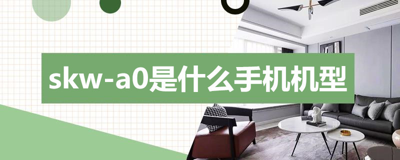 skw-a0是什么手机机型(手机型号SKR–A0)