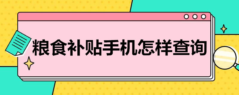 粮食补贴手机怎样查询（粮食补贴手机怎样查询到账）