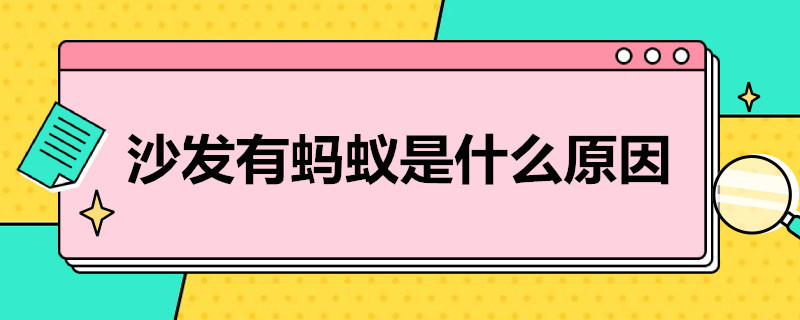 沙发有蚂蚁是什么原因（沙发上好多蚂蚁什么原因）