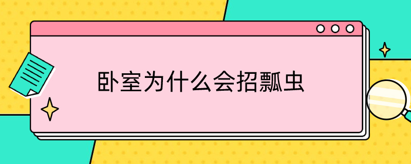 卧室为什么会招瓢虫