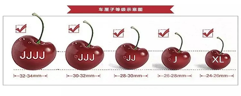 3jd代表什么意思 jg是什么意思