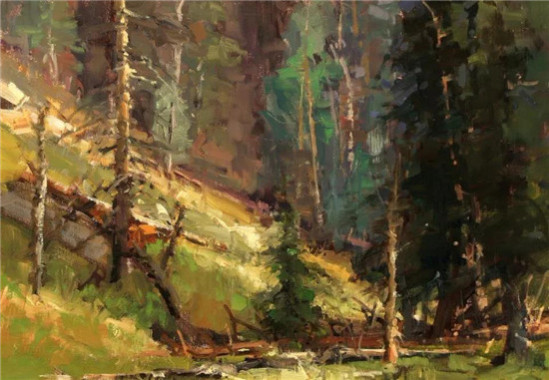 康辉地板自然印象系列(康辉和大自然木地板哪个好)