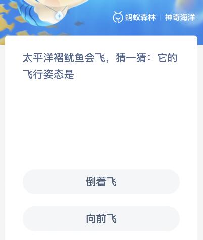 太平洋褶鱿鱼的飞行姿态是倒着还是向前飞？神奇海洋12月16日答案