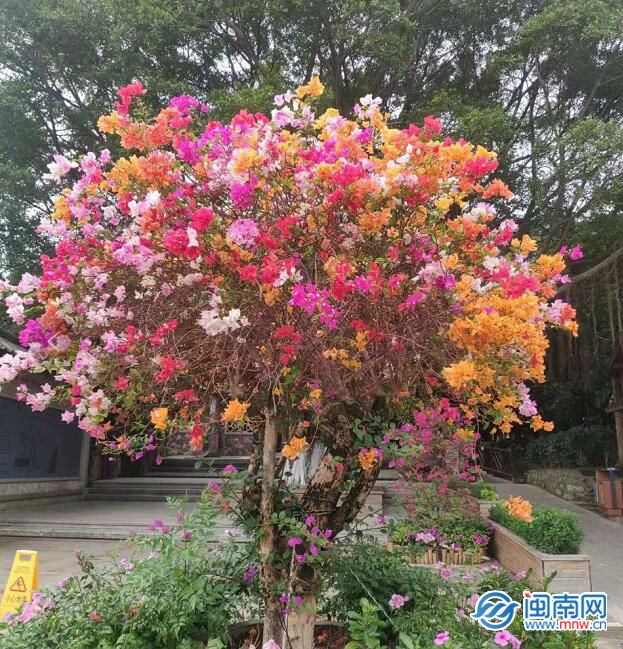 元旦祝福语句子简短 元旦祝福语 简短