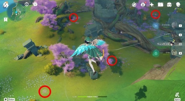 《原神》绯樱绣球在哪获得?《原神》绯樱绣球位置及获取方法