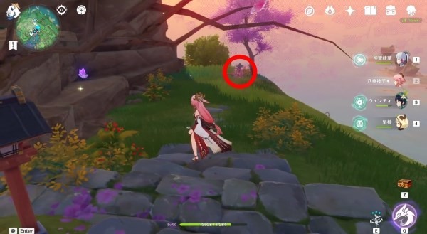 《原神》绯樱绣球在哪获得?《原神》绯樱绣球位置及获取方法