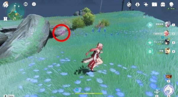 《原神》绯樱绣球在哪获得?《原神》绯樱绣球位置及获取方法