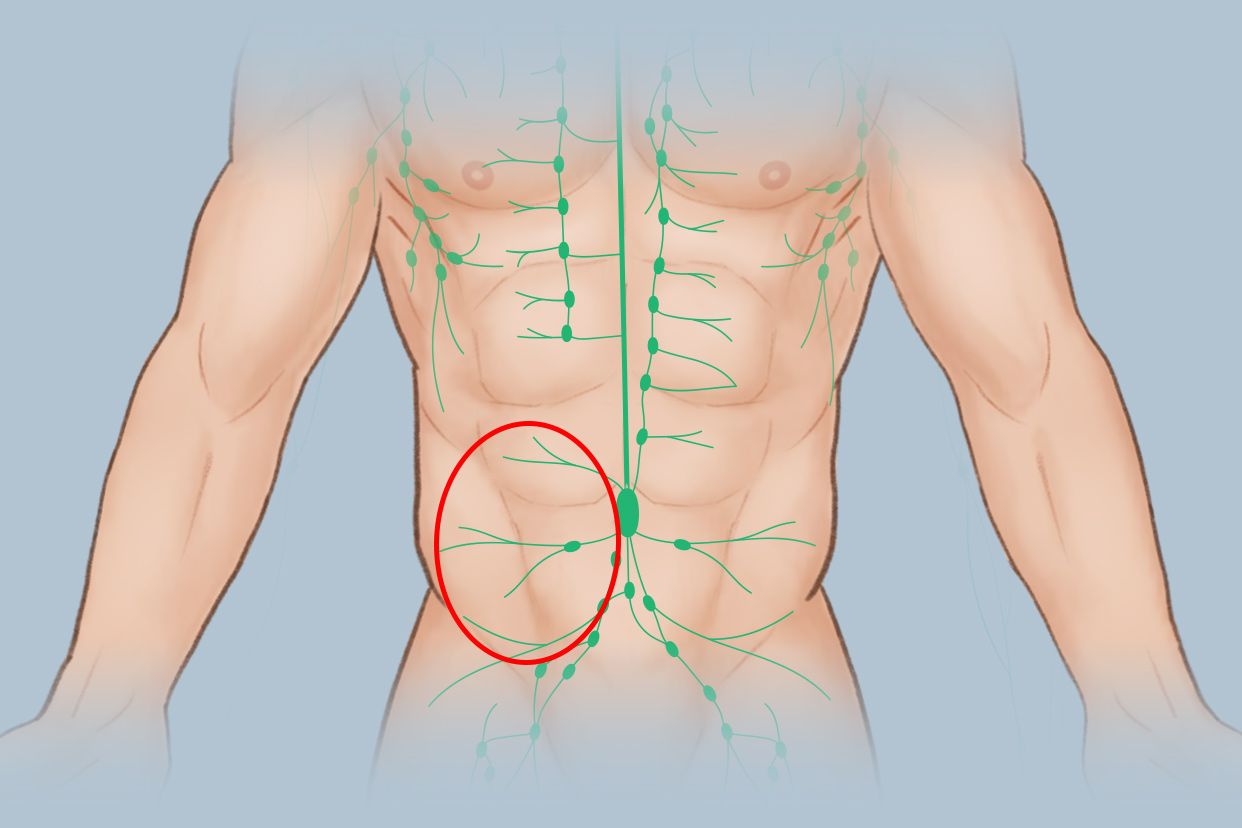 左腹部淋巴结位置图片（左腹部淋巴结位置图片大全）