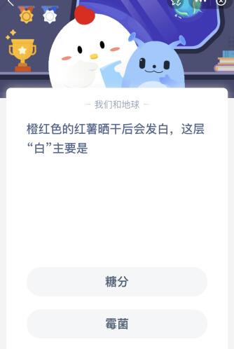 蚂蚁庄园今日答案：橙红色红薯晒干后会发白是糖分还是霉菌？