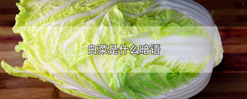 白菜是什么暗语（白菜是什么意思网络语言）