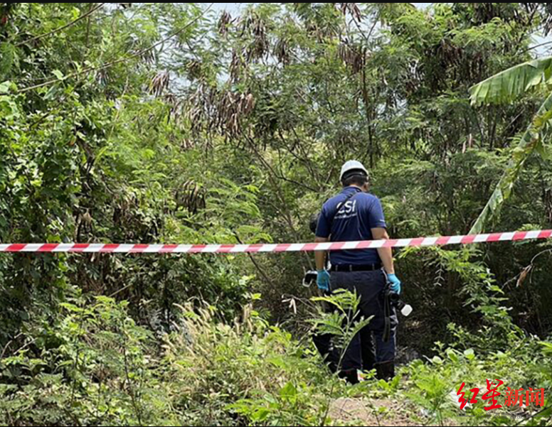 中国女留学生在泰遭绑架杀害,3嫌疑人已在湖北襄阳落网