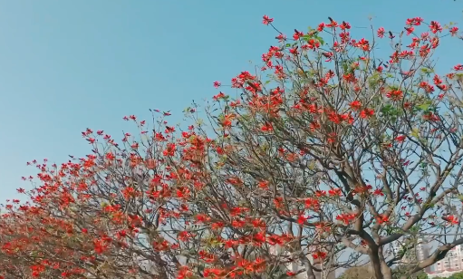 五一劳动节祝福语（五一劳动节祝福语简短一句话）