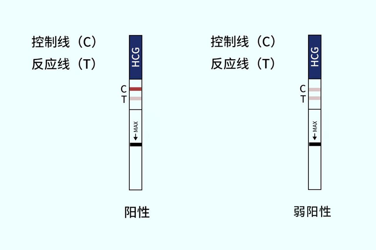 怀孕不太明显的测试条图片