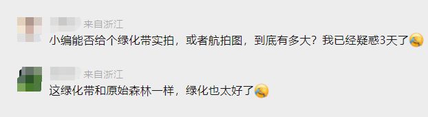 杭州园林部门回应“男子在绿化带迷路被困3天”：草木会及时修剪，事发地或为未开发区域 