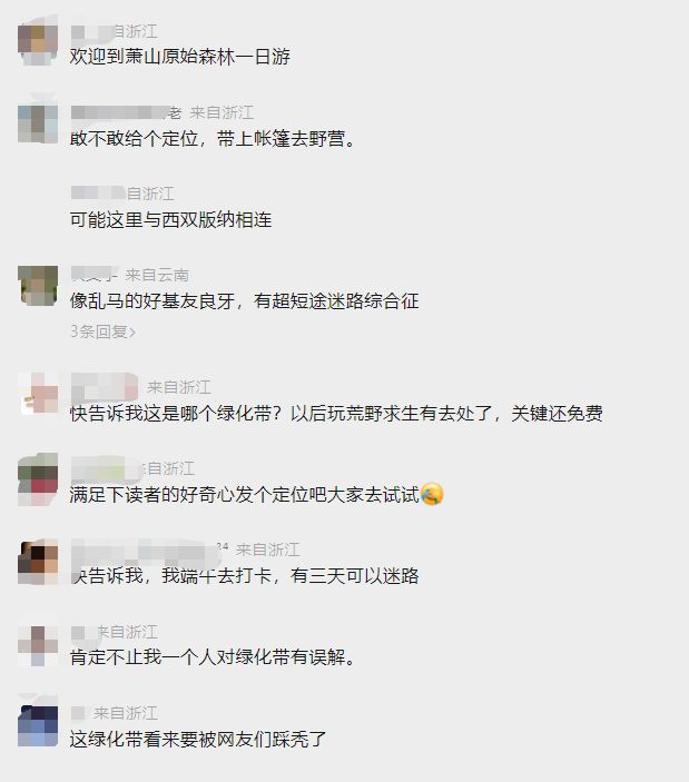 杭州园林部门回应“男子在绿化带迷路被困3天”：草木会及时修剪，事发地或为未开发区域 