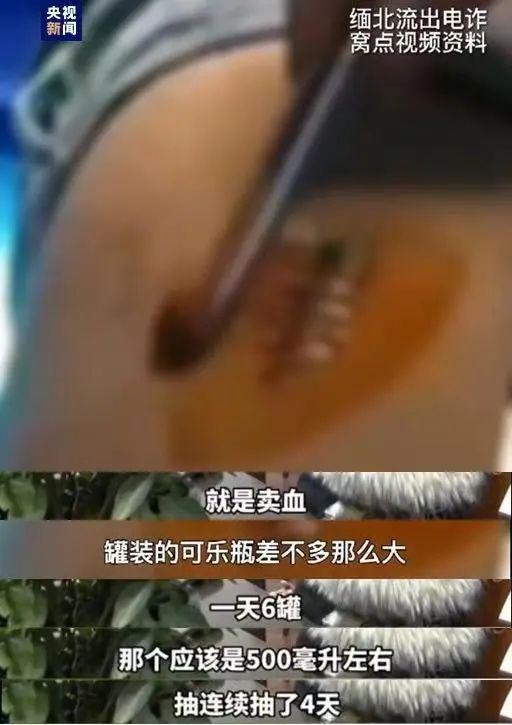 被骗到缅甸的6名小伙被解救！在缅经历曝光……家属：孩子回来后像变了个人