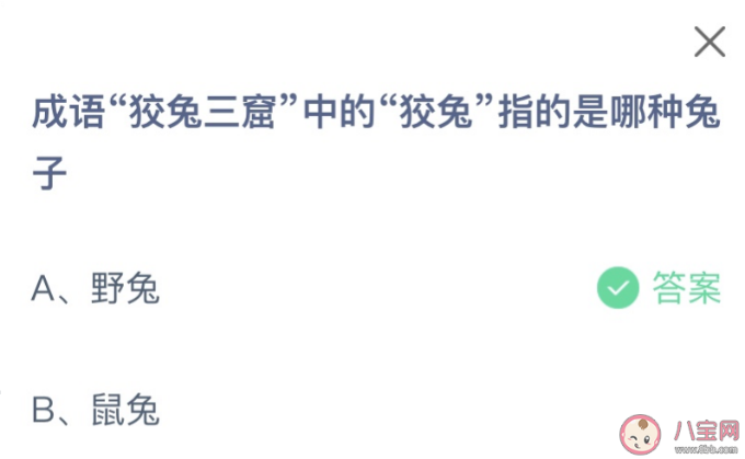 蚂蚁庄园今天小鸡问题正确答案：狡兔三窟的狡兔是什么意思指哪种兔子？野兔还是鼠兔