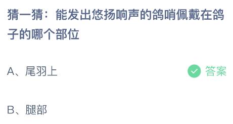 蚂蚁庄园今日答案最新7.26：鸽哨佩戴在鸽子的哪个部位